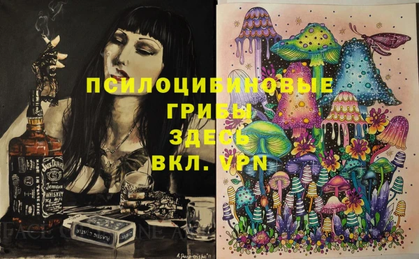 spice Медвежьегорск