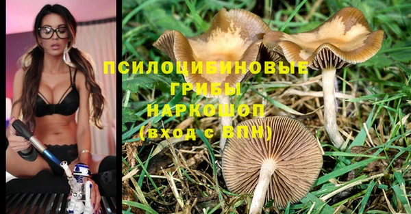 spice Медвежьегорск