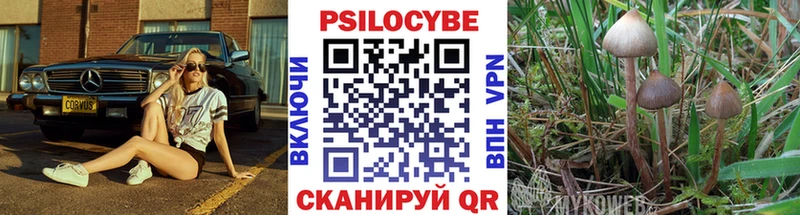 Псилоцибиновые грибы мухоморы Хилок